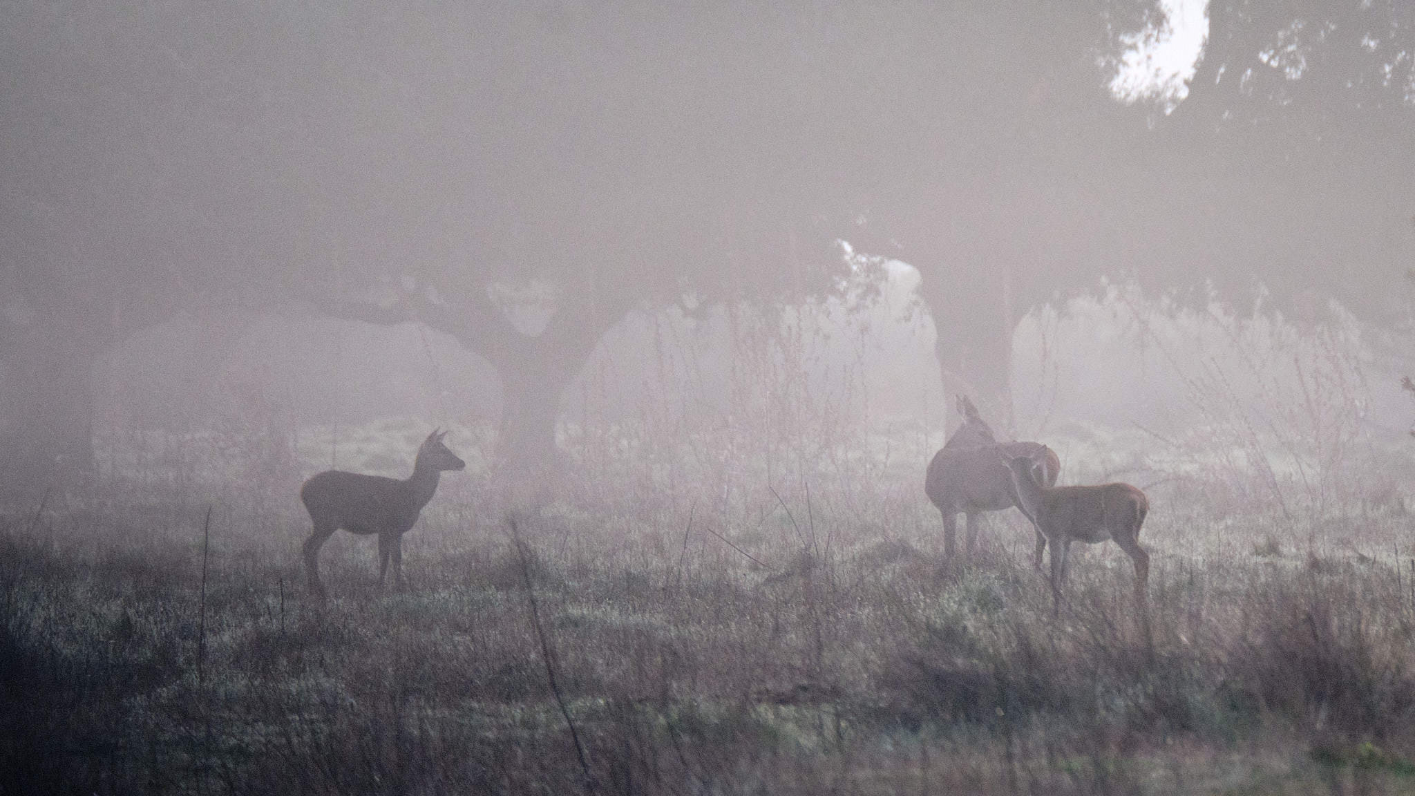 Spanien - Andalusien / Spain - Andalusia